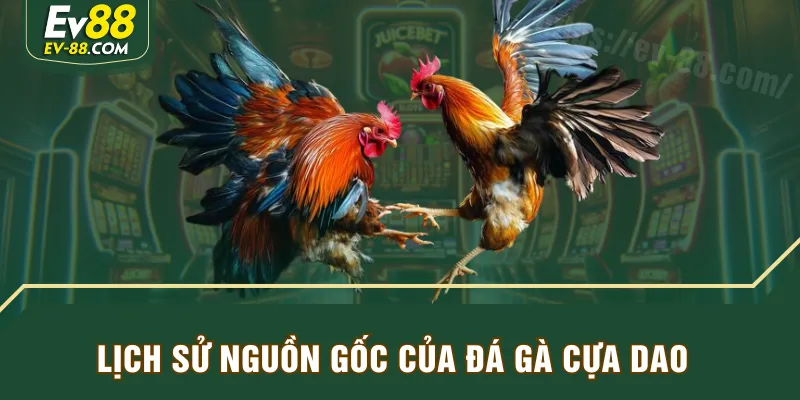 Lịch sử nguồn gốc của Đá Gà Cựa Dao
