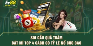 Soi Cầu Quả Trám - Bật Mí Top 4 Cách Có Tỷ Lệ Nổ Cực Cao